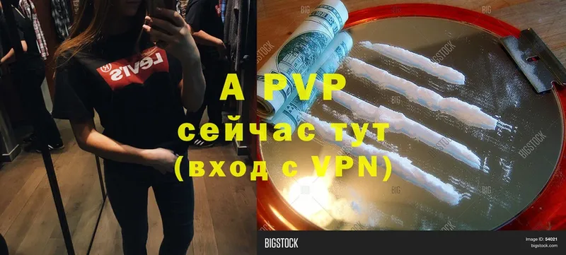 A PVP СК КРИС  Лесозаводск 